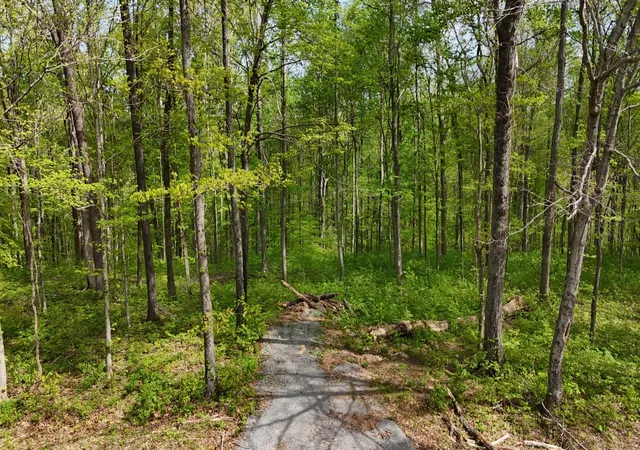Photo 3 of Land for sale at 2 Greenbrier Rd, Franklin, TN 37064 | MLS# 3252043 | Listing updated on 2026-07-27