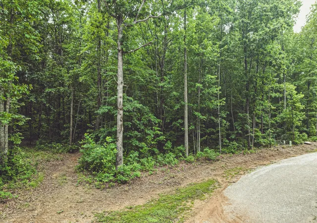 Homes for sale in Monteagle, TN | 59 Twilight Pt, Monteagle, TN 37356 | MLS# 3250442