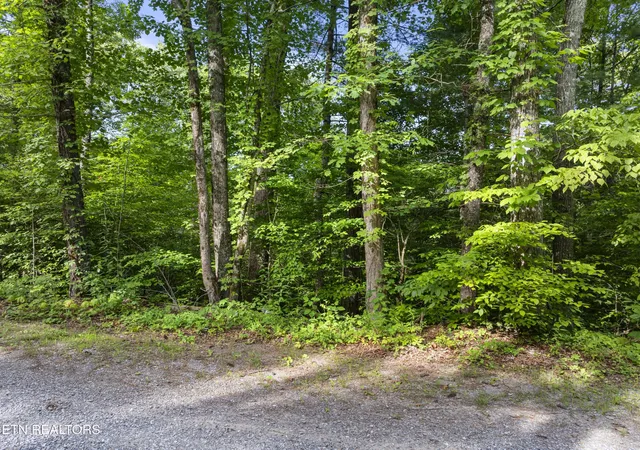 3rd image of 0 Grouse Top (Lot 4) Rd, Walland, TN 37886 | MLS# 3248374