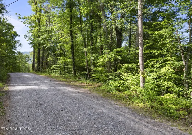 1st image of 0 Grouse Top (lot 3) Rd, Walland, TN 37886 | MLS# 3248402