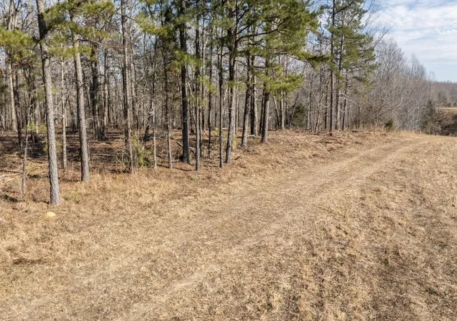 1st image of 257 Saddlebrook Dr, Hohenwald, TN 38462 | MLS# 3248419