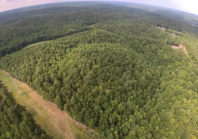 24th image of 257 Saddlebrook Dr, Hohenwald, TN 38462 | MLS# 3248419