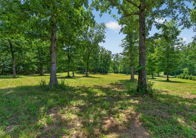 Homes for sale in Monteagle, TN | 0 Monteagle Falls Rd, Monteagle, TN 37356 | MLS# 3248434