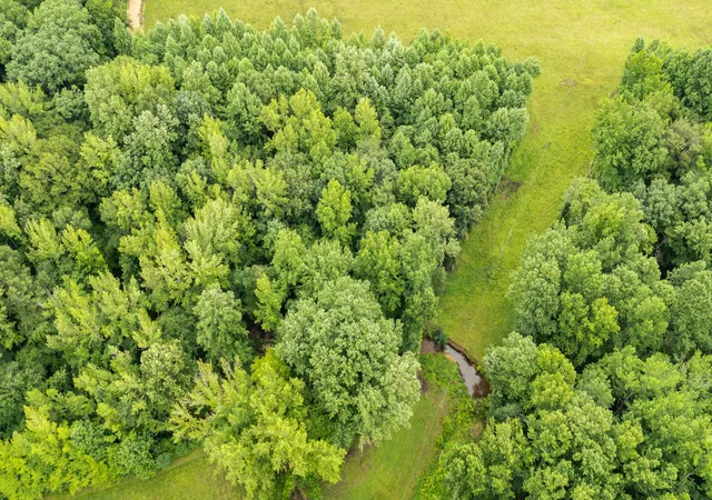 4th image of 0 Barkley Rd, Lutts, TN 38471 | MLS# 3248437