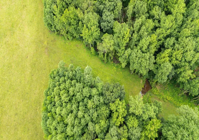 5th image of 0 Barkley Rd, Lutts, TN 38471 | MLS# 3248437
