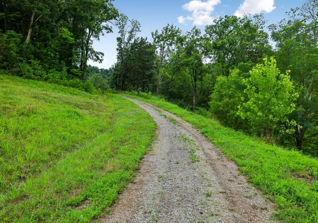 Photo 3 of Land for sale at 1196 Lula Ln, Franklin, TN 37064 | MLS# 3255115 | Listing updated on 2026-07-10