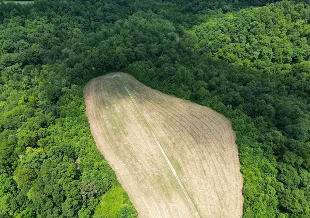 21st image of 3225 S Grundy Quarles Hwy, Gainesboro, TN 38562 | MLS# 3248511