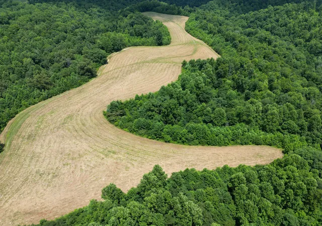 3rd image of 3225 S Grundy Quarles Hwy, Gainesboro, TN 38562 | MLS# 3248511