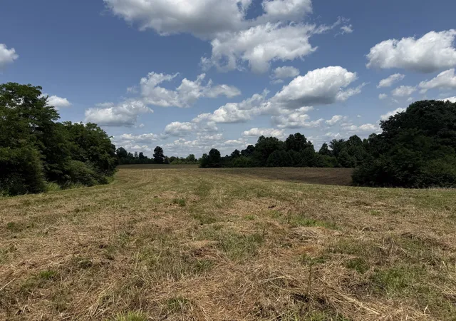 5th image of 3225 S Grundy Quarles Hwy, Gainesboro, TN 38562 | MLS# 3248511