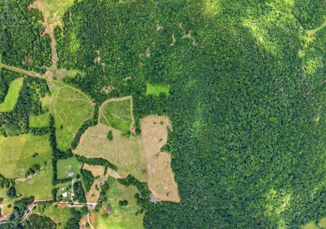 3rd image of 0 Pete Alsup Rd, Lascassas, TN 37085 | MLS# 3248694