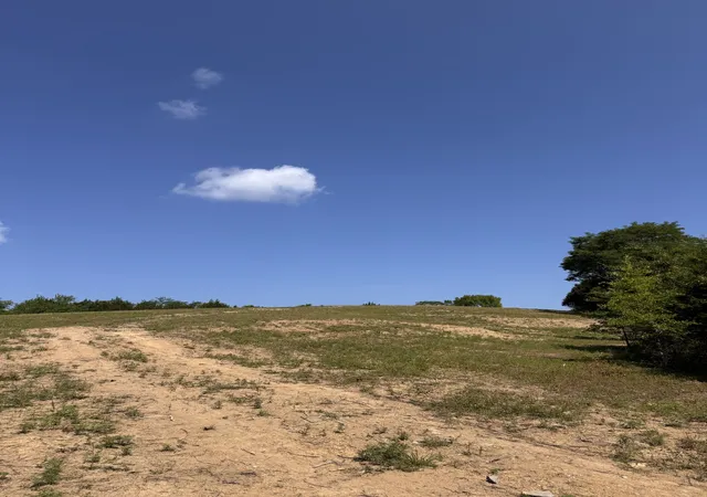 41st image of 0 Pete Alsup Rd, Lascassas, TN 37085 | MLS# 3248694