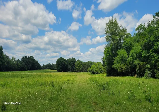 Land for sale at 1 Clem Crk Rd, Chapel Hill, TN 37034 | MLS# 3250398