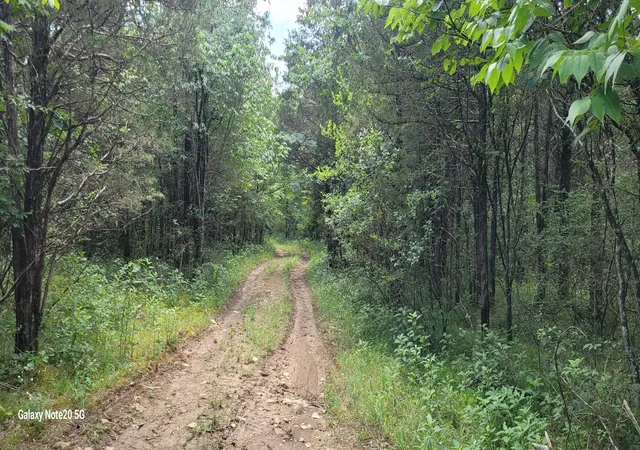 Photo 12 of Land for sale at 1 Clem Crk Rd, Chapel Hill, TN 37034 | MLS# 3250398 | Listing updated on 2026-08-20