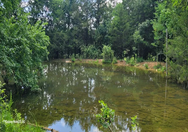 Photo 3 of House for sale at 1 Clem Crk Rd, Chapel Hill, TN 37034 | MLS# 3250398 | Listing updated on 2026-08-20