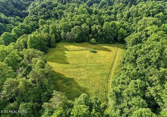 3rd image of 3503 Tn-70, Eidson, TN 37731 | MLS# 3248622