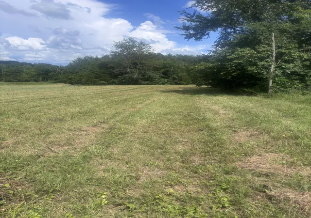 Photo 3 of Land for sale at 152 Osteen Ln, Chapel Hill, TN 37034 | MLS# 3272160 | Listing updated on 2026-07-28