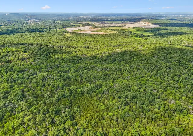 5th image of 0 Newman Rd, Rockvale, TN 37153 | MLS# 3261401