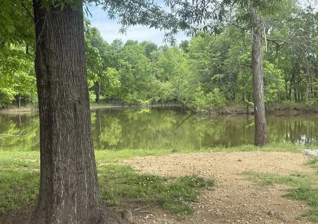 Homes for sale in Clifton, TN | 298 Duck Blind Rd, Clifton, TN 38425 | MLS# 3248660