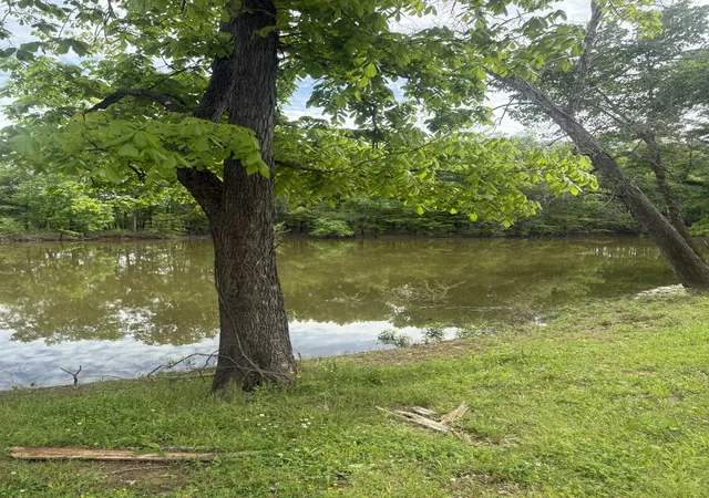 Homes for sale in Clifton, TN | 298 Duck Blind Rd, Clifton, TN 38425 | MLS# 3248660
