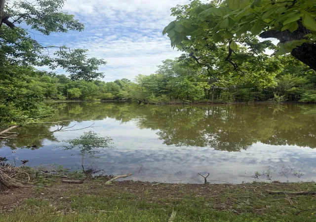 3rd image of 298 Duck Blind Rd, Clifton, TN 38425 | MLS# 3248660