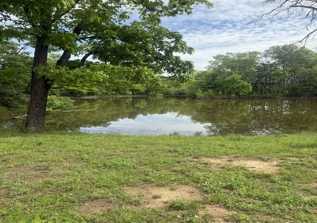 4th image of 298 Duck Blind Rd, Clifton, TN 38425 | MLS# 3248660