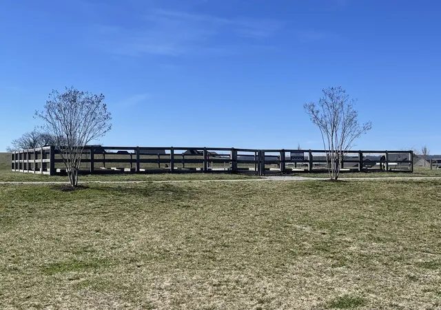 54th image of 4049 John Marsh Rd, Spring Hill, TN 37174 | MLS# 3255849