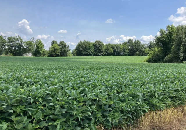 1st image of 2690 Oak Grove Rd, Savannah, TN 38372 | MLS# 3250323
