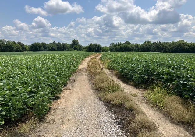 2nd image of 2690 Oak Grove Rd, Savannah, TN 38372 | MLS# 3250323