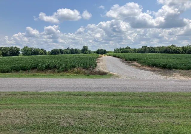 3rd image of 2690 Oak Grove Rd, Savannah, TN 38372 | MLS# 3250323