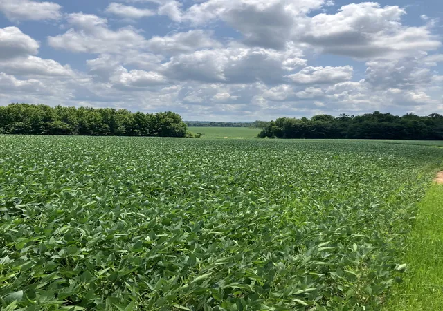 4th image of 2690 Oak Grove Rd, Savannah, TN 38372 | MLS# 3250323