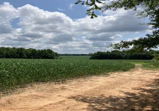 5th image of 2690 Oak Grove Rd, Savannah, TN 38372 | MLS# 3250323
