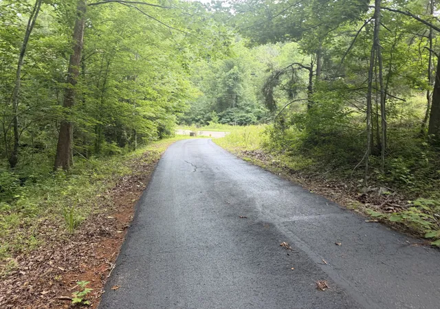 Homes for sale in Hohenwald, TN | 232 Cane Creek Rd, Hohenwald, TN 38462 | MLS# 3250297