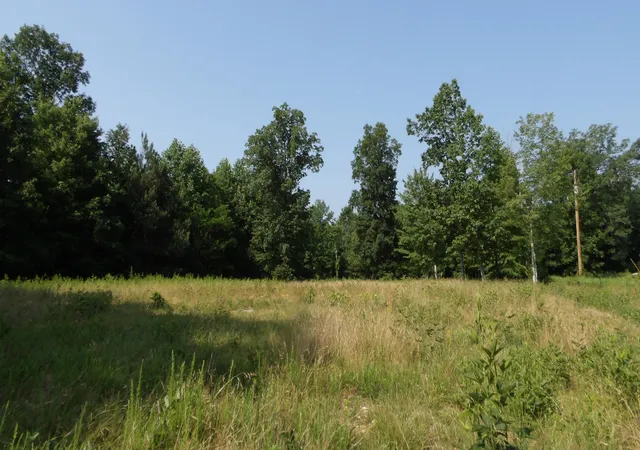 Homes for sale in Gainesboro, TN | 0 Pleasant Cemetery Lane, Gainesboro, TN 38562 | MLS# 3249000