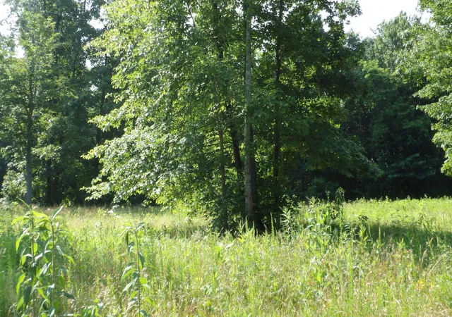 Homes for sale in Gainesboro, TN | 0 Pleasant Cemetery Lane, Gainesboro, TN 38562 | MLS# 3249000