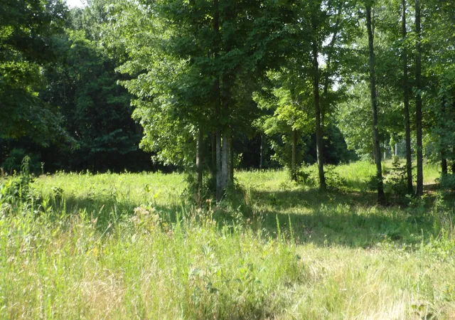 Homes for sale in Gainesboro, TN | 0 Pleasant Cemetery Lane, Gainesboro, TN 38562 | MLS# 3249000