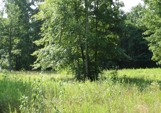 Homes for sale in Gainesboro, TN | 0 Pleasant Cemetery Lane, Gainesboro, TN 38562 | MLS# 3249000