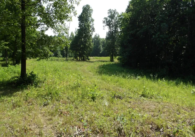 Homes for sale in Gainesboro, TN | 0 Pleasant Cemetery Lane, Gainesboro, TN 38562 | MLS# 3249000