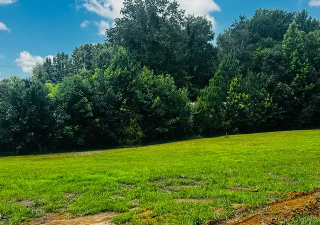 Homes for sale in Dickson, TN | 422 Shady Hill Rd, Dickson, TN 37055 | MLS# 3249009
