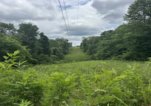 14th image of 3061 Hilham Hwy Tract 7 Of, Hilham, TN 38568 | MLS# 3249013