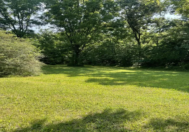 Homes for sale in Cleveland, TN | 4553 Spring Pl Road Se, Cleveland, TN 37323 | MLS# 3249002