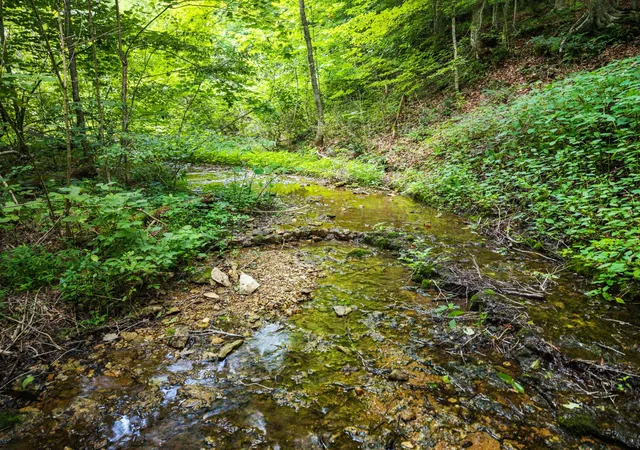 3rd image of 68 Clure Brown Rd, Westmoreland, TN 37186 | MLS# 3251221
