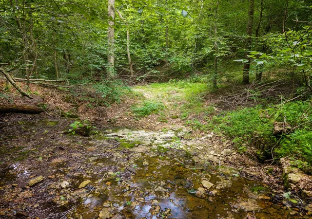 4th image of 68 Clure Brown Rd, Westmoreland, TN 37186 | MLS# 3251221