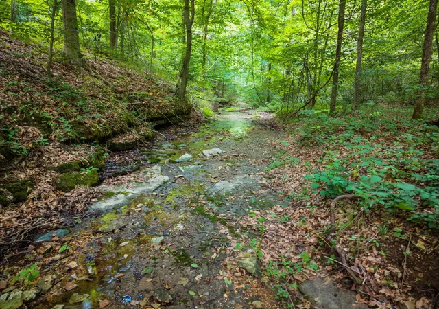 5th image of 68 Clure Brown Rd, Westmoreland, TN 37186 | MLS# 3251221