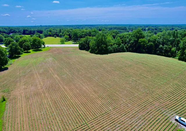 Homes for sale in Leoma, TN | 20 Lambs Ferry Rd, Leoma, TN 38468 | MLS# 3251931
