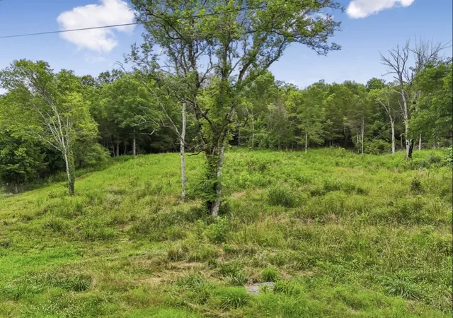 11th image of 97 Redd Branch Rd, Fayetteville, TN 37334 | MLS# 3249109