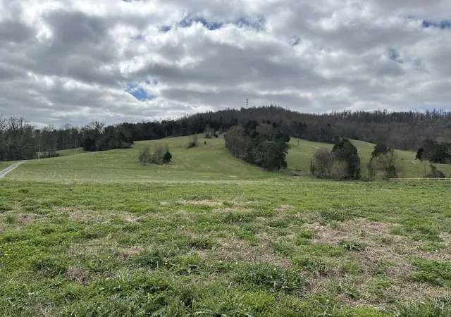 Homes for sale in Livingston, TN | 0 Upper Hilham Rd, Livingston, TN 38570 | MLS# 3250239