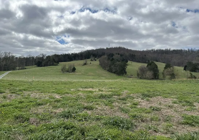 Homes for sale in Livingston, TN | 0 Upper Hilham Rd, Livingston, TN 38570 | MLS# 3250239