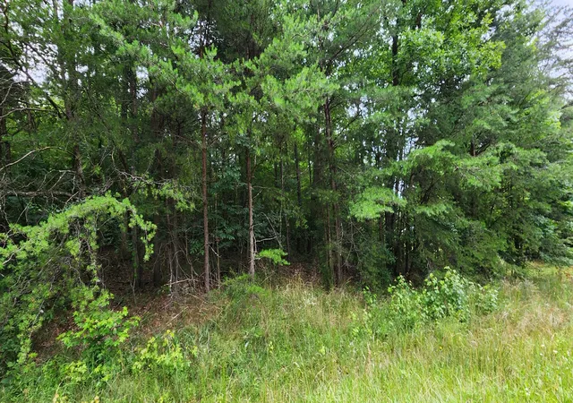 Homes for sale in Sequatchie, TN | 0 Sequatchie Mountain Rd, Sequatchie, TN 37374 | MLS# 3250510