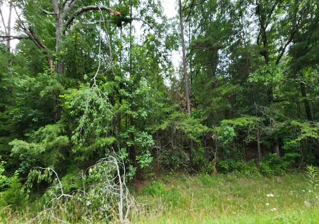 Homes for sale in Sequatchie, TN | 0 Sequatchie Mountain Rd, Sequatchie, TN 37374 | MLS# 3250510