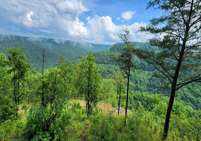 Homes for sale in Monteagle, TN | 0 Eagle Point Dr, Monteagle, TN 37356 | MLS# 3250513